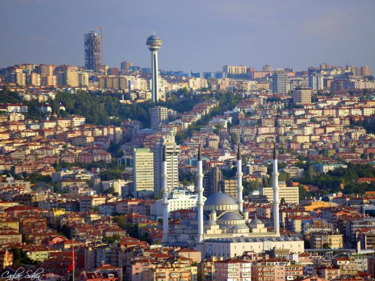 Ankara Bakıcı Hizmetleri